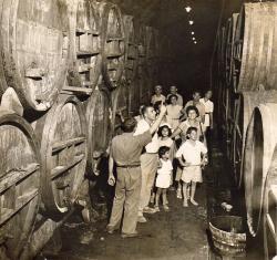Old Winery