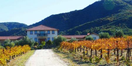 Winery